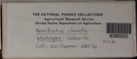 Image Associated With the Occurence